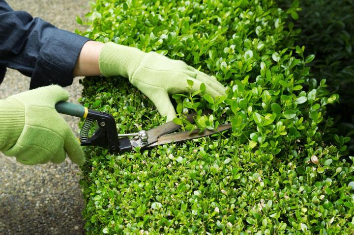 Spécialiste du jardinage à Évry